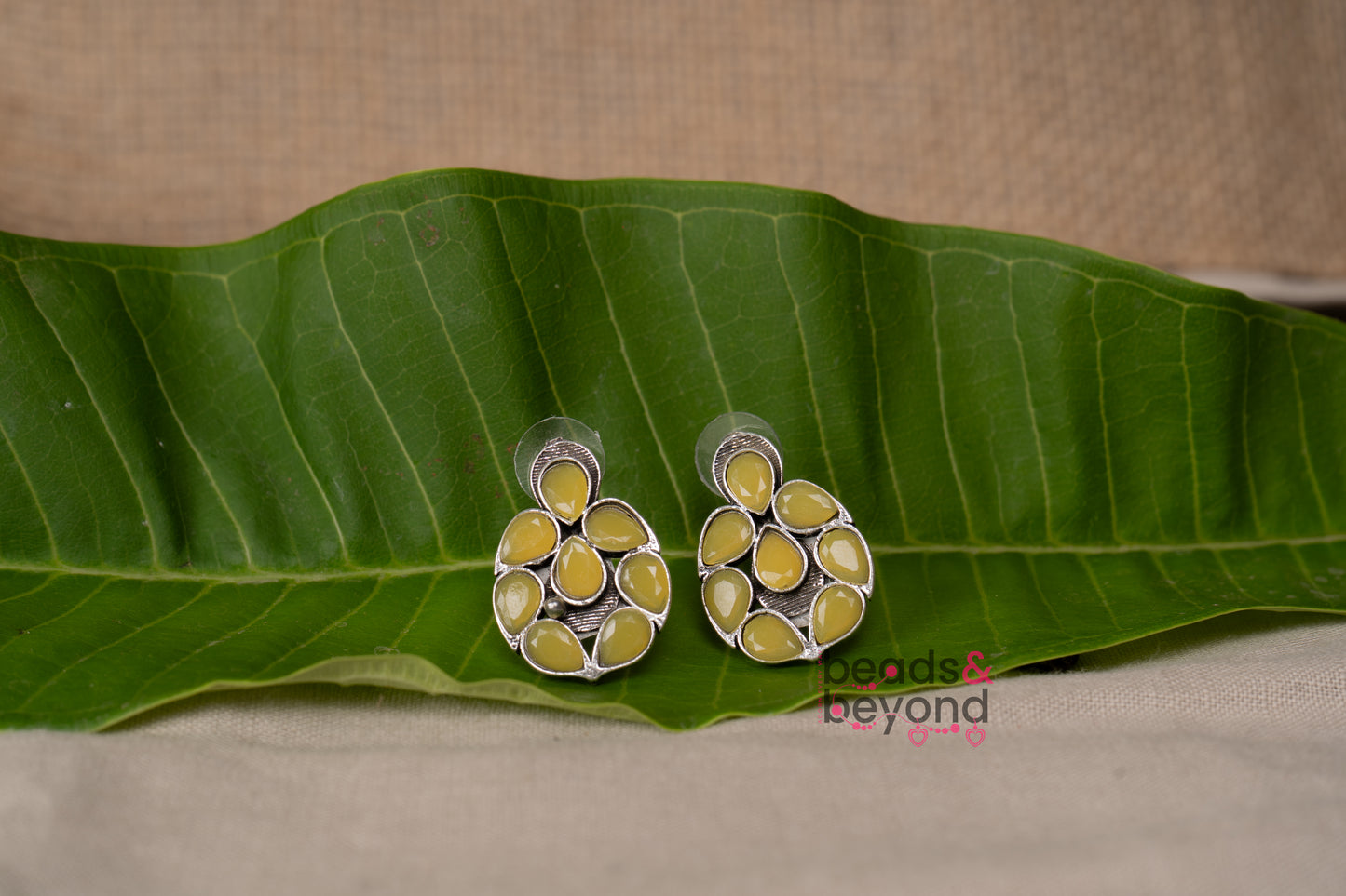 Stone stud Earring